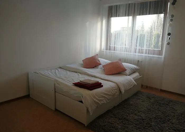 Apartament Zeta Park Centrum